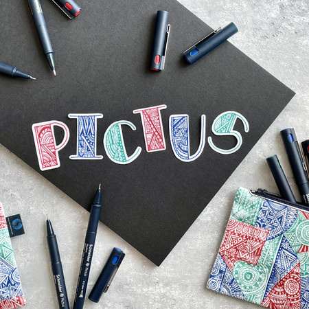 Pictus Multipack Fineliner & Brush pens by Schneider